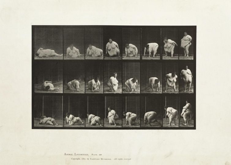 Arising from the ground © Eadweard Muybridge c. 1887 – Courtesy Laurence Miller Gallery