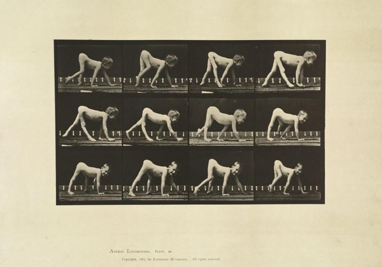 Infantile paralysis; child, walking on hands and feet © Eadweard Muybridge c. 1887 – Courtesy Laurence Miller Gallery