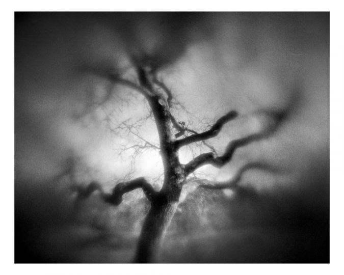© Olivier Pasquiers