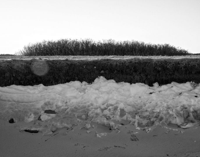Cape Elizabeth ME © Mark Barnette