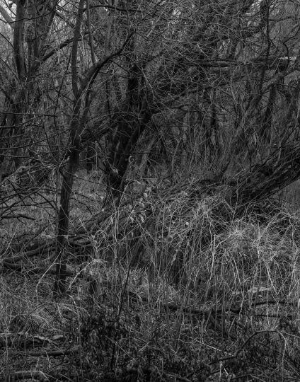 Council Grove KS © Mark Barnette
