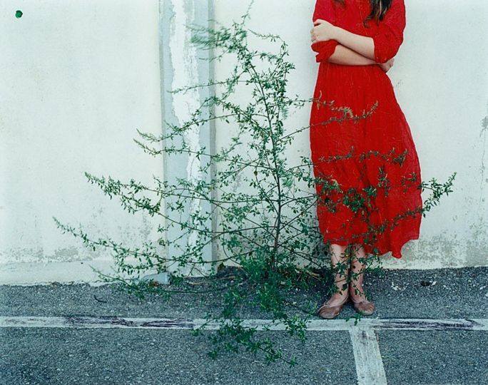 Mauvaises Herbes 2002-2008 Tirage C-Print © Kate Barry - Courtesy Musée Nicéphore Niépce