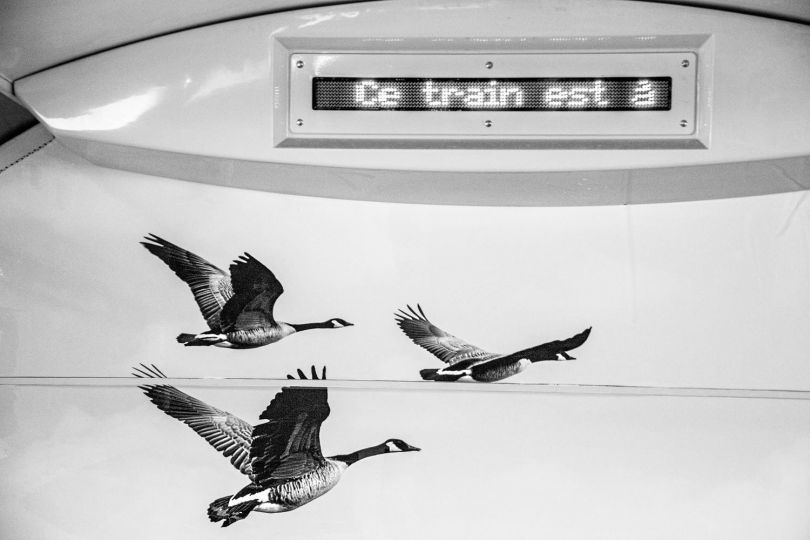 © Sébastien Durand