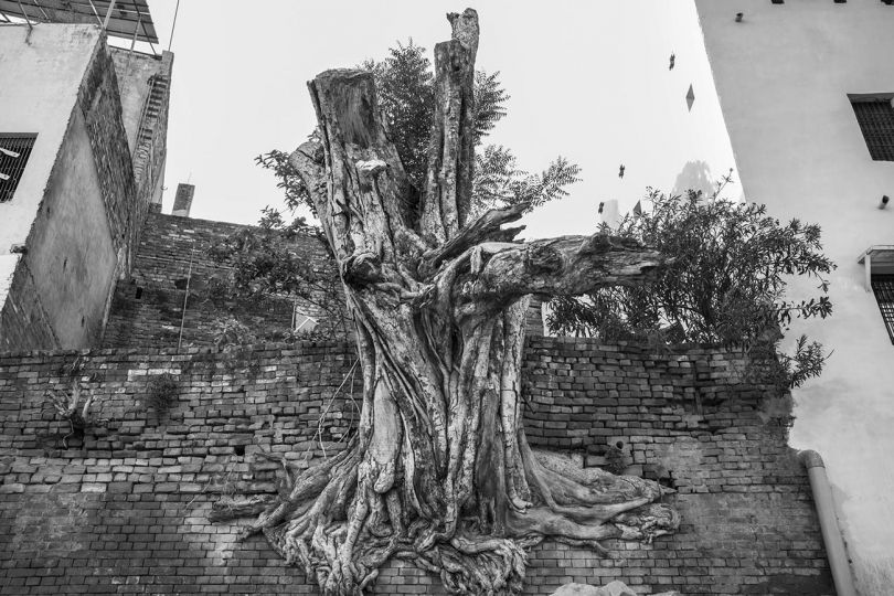 Varanasi Uttar Pradesh June 2022 © Emmanuel Lenain