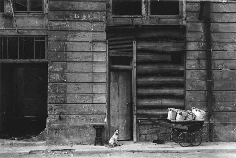 Agnès Varda, Petit chien vieux Paris, tirage d’exposition contrecollé sur isorel, 1949, © Succession Agnès Varda – Collection Rosalie Varda, courtesy Nathalie Obadia