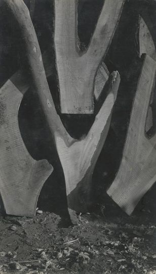 Agnès Varda, Bois à la Pointe courte, été 1952, tirage d’exposition contrecollé sur isorel, © Succession Agnès Varda – collection Rosalie Varda, Paris