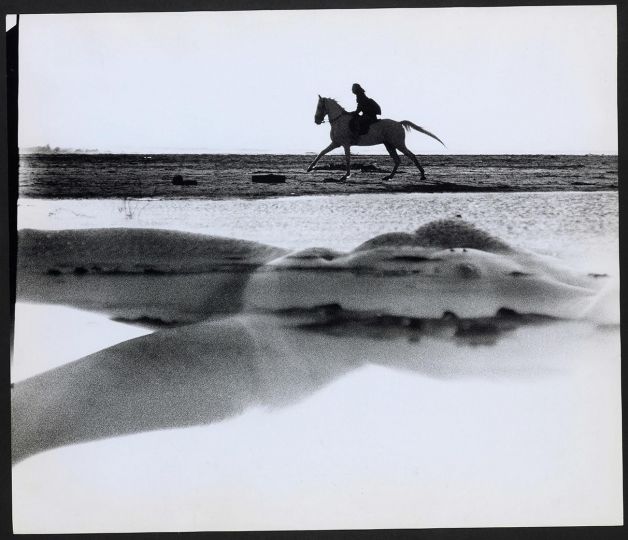 Lot 81 : SAM HASKINS (1929-2009)
NOVEMBER GIRL
November Girl - Beach Montage - Torso and Horse, 1966.
Photographie. Tirage argentique d'époque réalisé par l'auteur, tampons de la signature et 