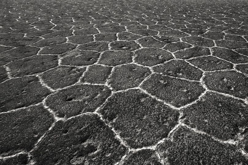 © Michel Riehl