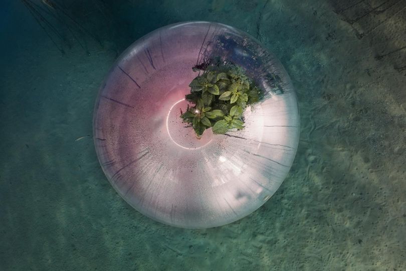 Nemo’s Garden - Noli, Italia, 2021 © Luca Locatelli - Courtesy of Gallerie d’Italia