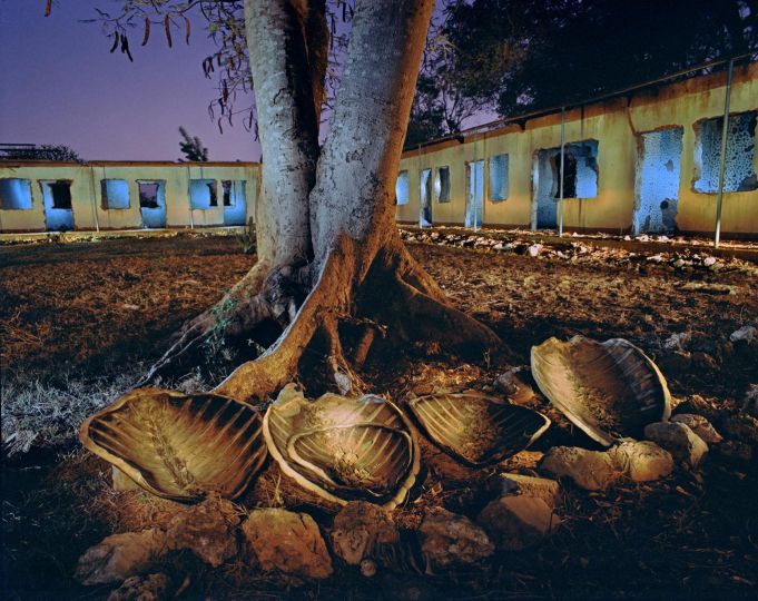 Sea Turtle shell with abandoned hotel. Southern Tanzania. © Obie Oberholzer