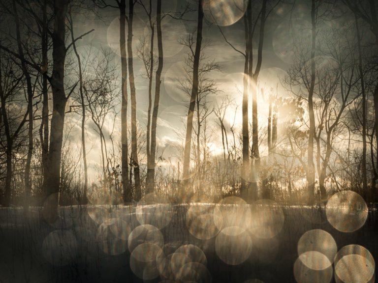 Bruce Silverstein Gallery : Todd Hido : The End Sends Advance Warning