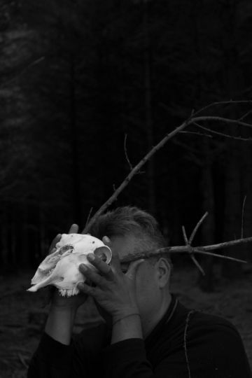 © Daniel Orlando