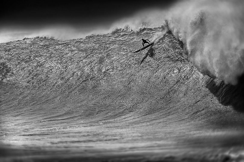 © Brown W. Cannon III - Courtesy Damiani