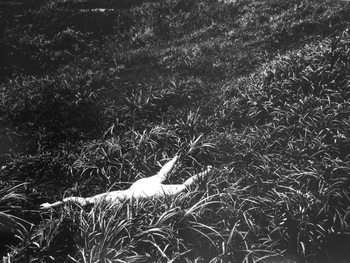 Daïdo Moriyama,Kagerou(Mayfly)Gelatine silver print on Baryté paper,508 x 610 mm,1972:2011 - Courtesy Galerie Da-End 