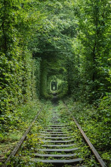 © Romain Veillon