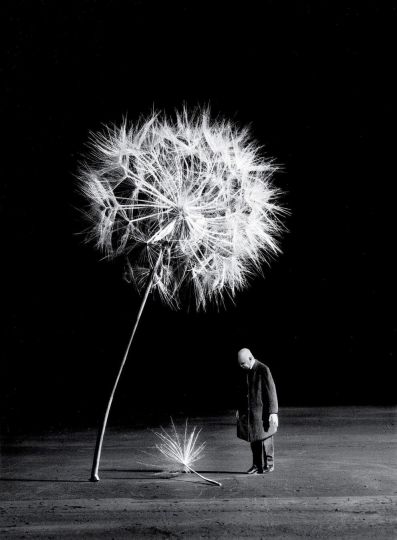 Maison Folie Hospice d Havre Surrealism and Photography Imagine around Gilbert Garcin The Eye of Photography Magazine