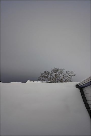© Biff Henrich