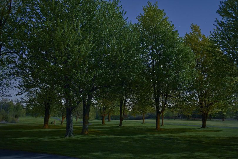© Biff Henrich