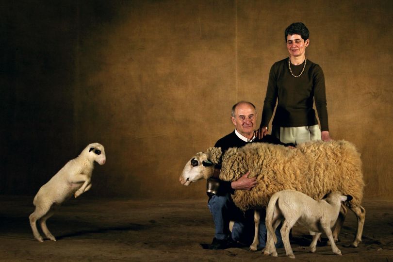 Causses du Lot sheep and her lambs. In the French Salon International de l'Agriculture (SIA 2004), Paris, France © Yann Arthus-Bertrand
