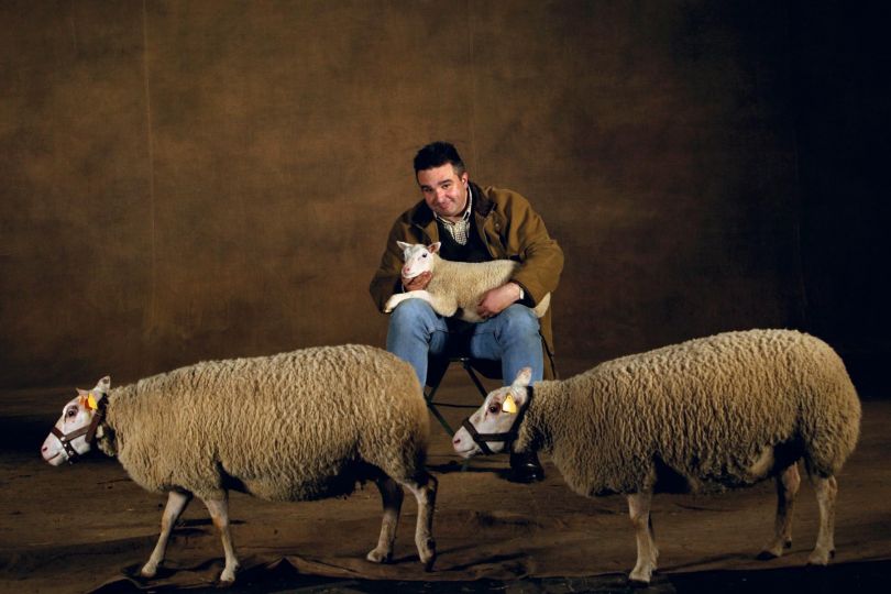 Charmoises sheeps, four years old. In the French Salon International de l'Agriculture (SIA 2004), Paris, France © Yann Arthus-Bertrand