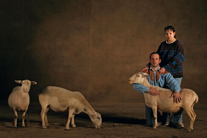 Préalpes du Sud sheeps. In the French Salon International de l'Agriculture (SIA 2004), Paris, France © Yann Arthus-Bertrand