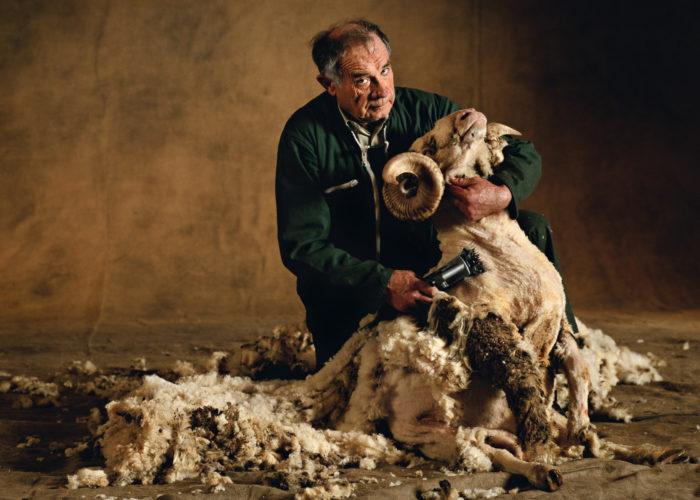 Yann Arthus-Bertrand : Salon de l’Agriculture : Béliers & Chèvres