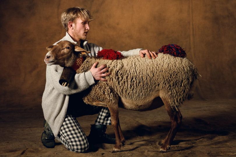 Rouge du Roussillon sheep. In the French Salon International de l'Agriculture (SIA 1998), Paris, France © Yann Arthus-Bertrand