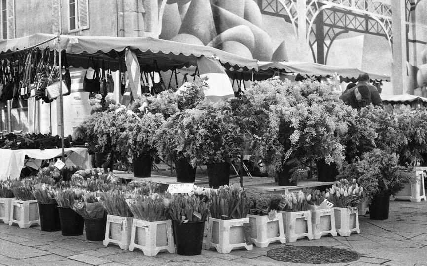 DIJON CENTRE VLLE PLACE DU MARCHÉ SCAN FILM 24X36 FP4 ILFORD 125 ISO DEVELOPPEMENT 3 HERBES AROMATIQUES SAUGE : MENTHE : ROMARIN 25° : 16 MN (SOUS DEVELOPPÉ) 17 © Jacques Revon