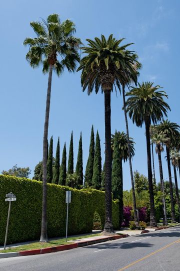 N.W. corner of Doheny Dr. & Elevado Ave. - From Real Road Test, Philippe Séclier (Atelier EXB, 2024) © Philippe Séclier