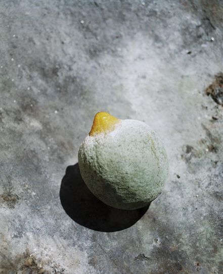 © Gladys – Courtesy of the artist and Éditions Contrejour