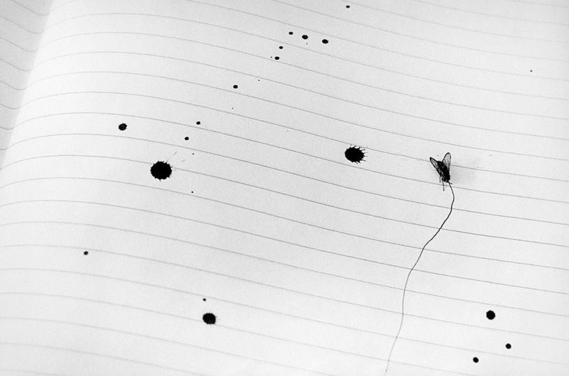 © Gladys – Courtesy of the artist and Éditions Contrejour