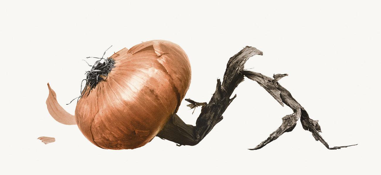 The Onions of Denis Brihat