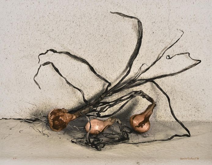 Trois oignons [Les Oignons] © 1985 Denis Brihat, courtesy of Denis Brihat