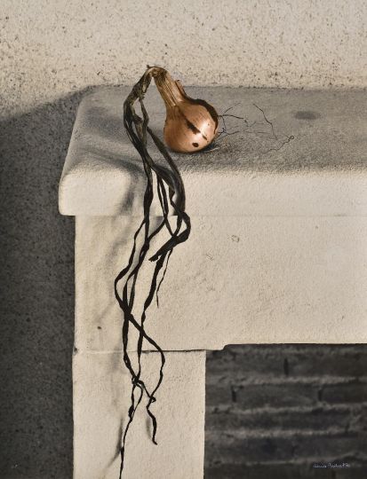 Oignon au bord d’une cheminée [Les Oignons] © 1985 Denis Brihat, courtesy of Denis Brihat