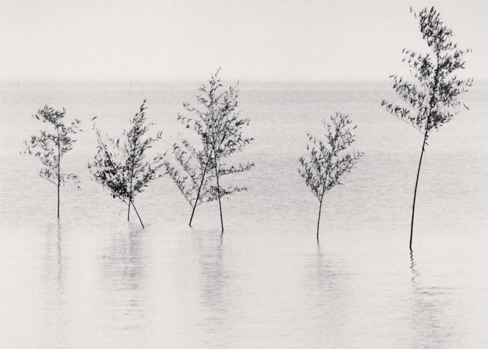 Peter Fetterman Gallery : Michael Kenna : Japon / A Love story
