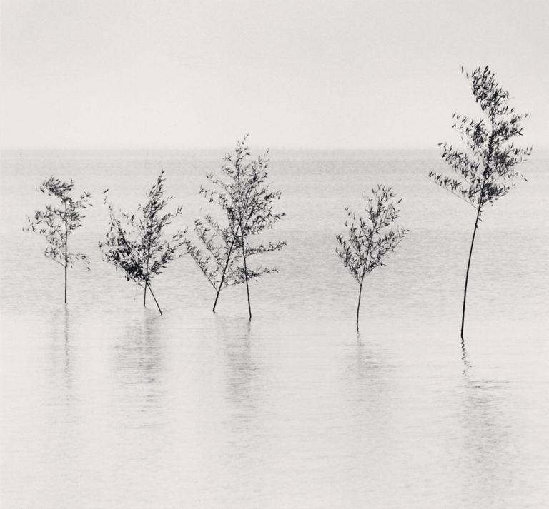 Peter Fetterman Gallery : Michael Kenna : Japon / A Love story