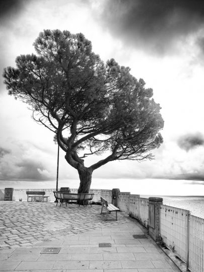 © Jean Guy Caumeil