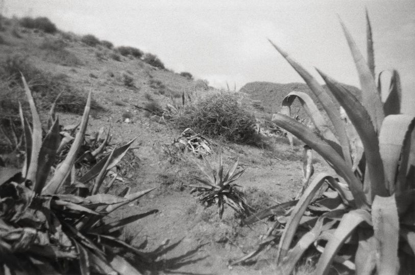 © Bernard Plossu - Courtesy Lamaindonne