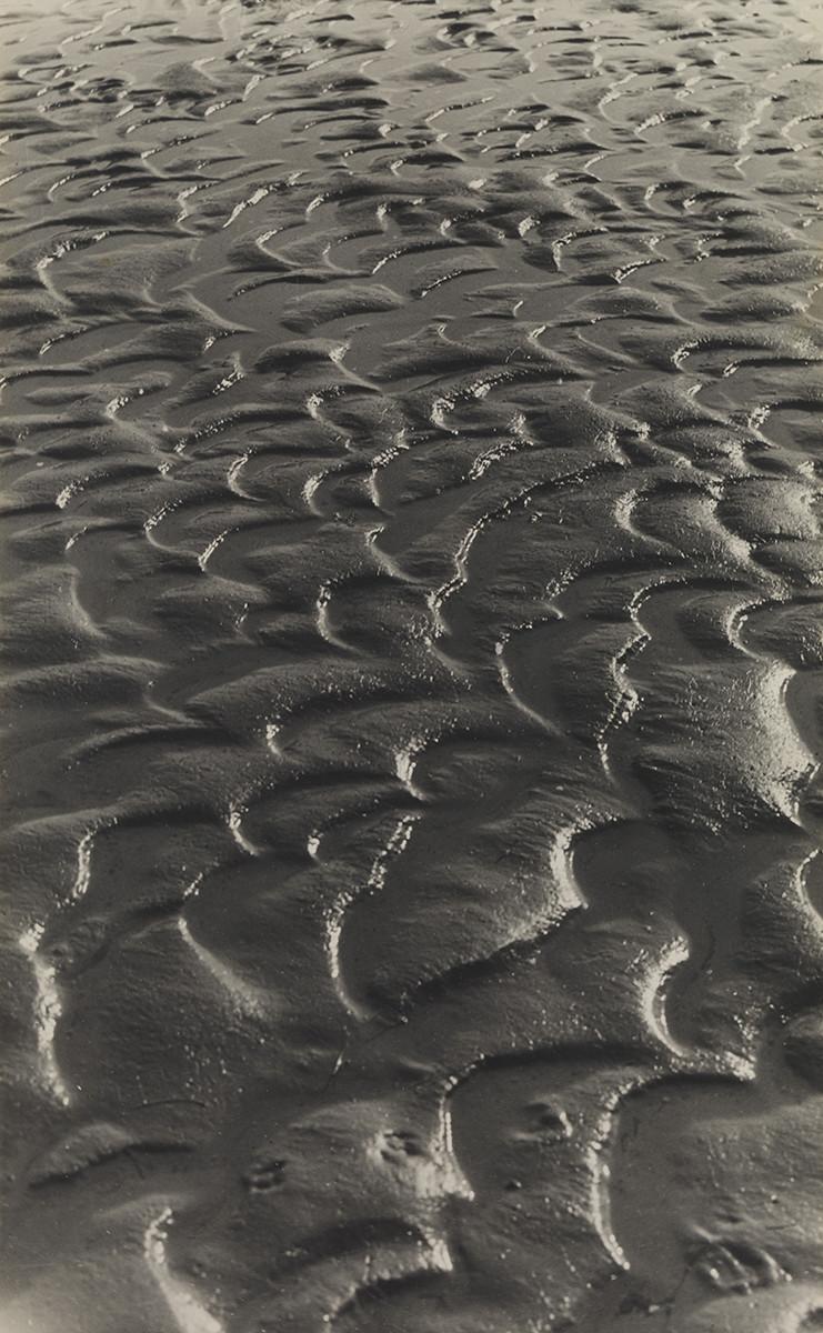 Pinakothek der Moderne : Alfred Ehrhardt : Wind, Sand, and Water