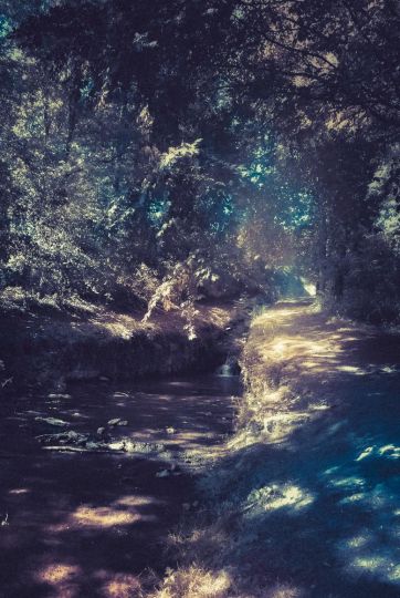 Bois des Jumeaux © Dimitri de Larocque Latour - Courtesy of the artist and La Tour Prisonnière
