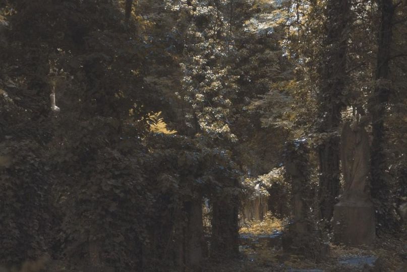Colline © Dimitri de Larocque Latour - Courtesy of the artist and La Tour Prisonnière