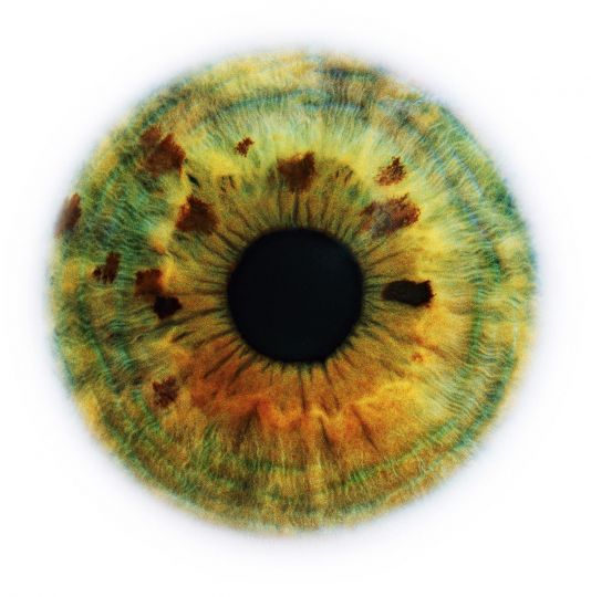 Eyescape, Alisa, 2013 ©Rankin