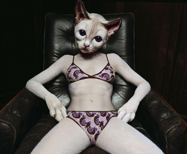 Selfridges Cats, 2001 © Rankin