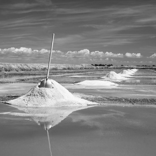 Le Geste du Saunier © Bruno Palisson 