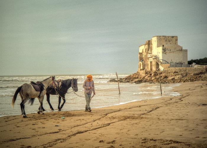 David Saxe : Maroc