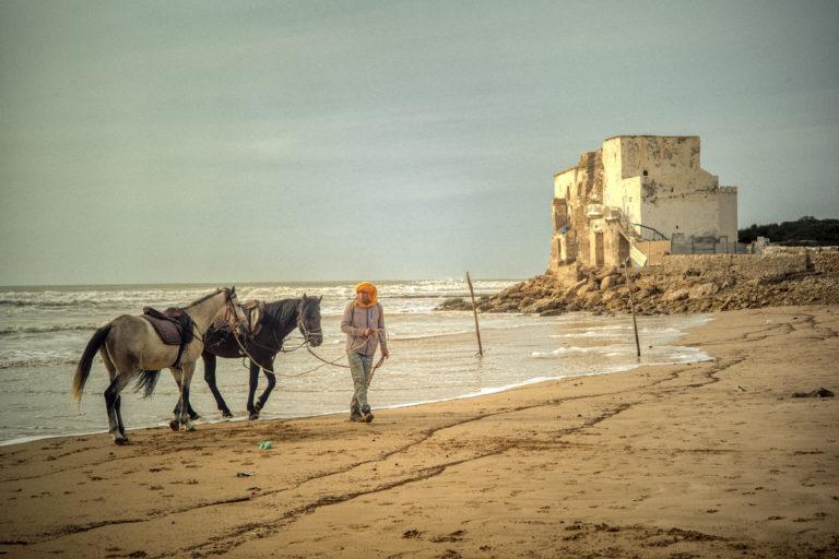 David Saxe : Maroc