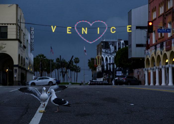 Archives : Visa pour l'image 2024 : Karen Ballard : Venice, CA