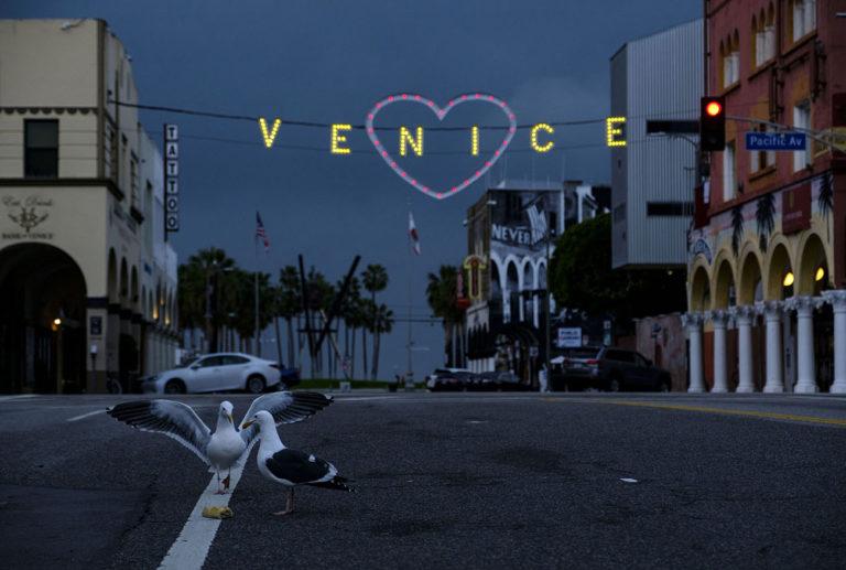 Visa pour l'image : Karen Ballard : Venice, CA