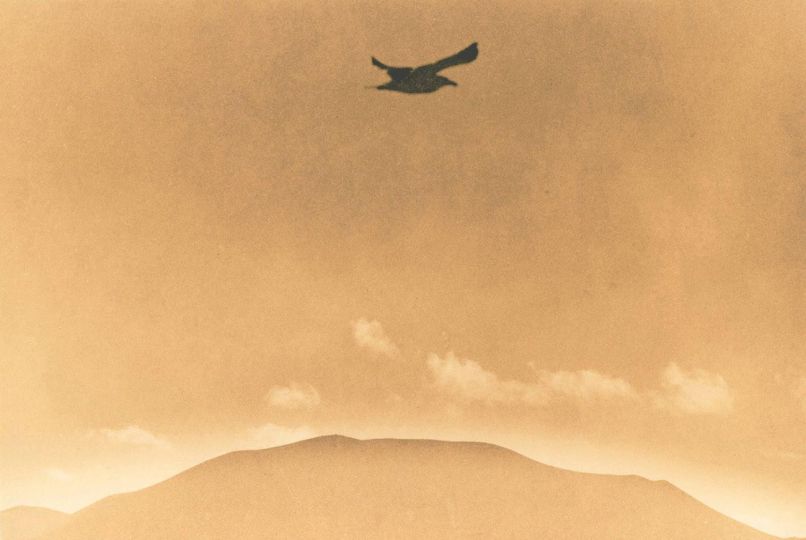 Mīrārī - Andrei Fărcășanu © Courtesy of the artist and Mind’s Eye / Galerie Adrian Bondy
