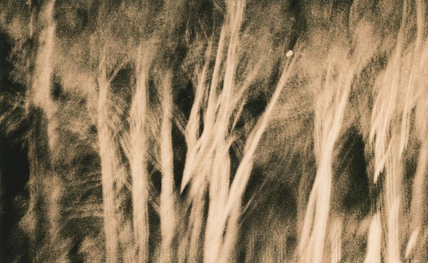 Mīrārī - Andrei Fărcășanu © Courtesy of the artist and Mind’s Eye / Galerie Adrian Bondy